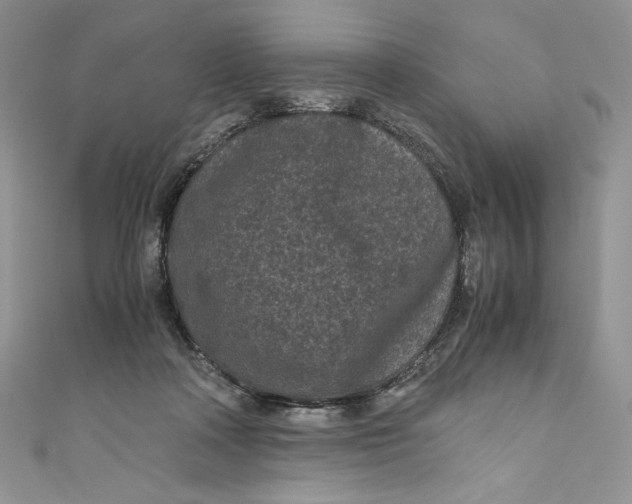 X0000111010314200907061000