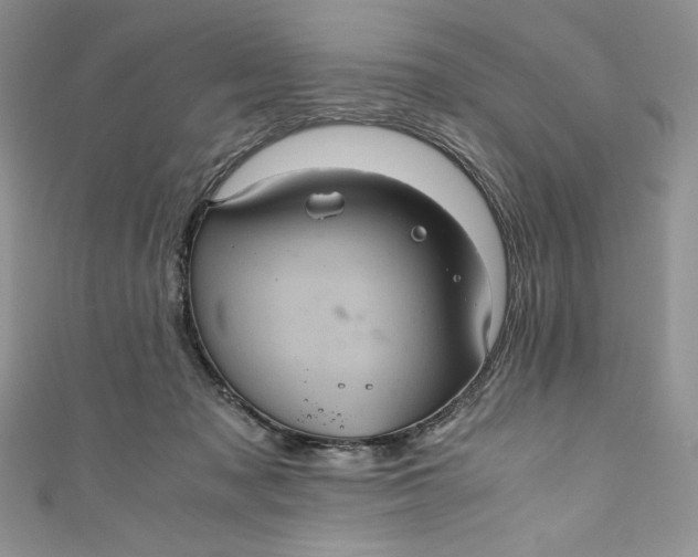 X0000111010317200907061000