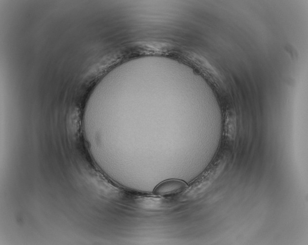 X0000111010318200907061000