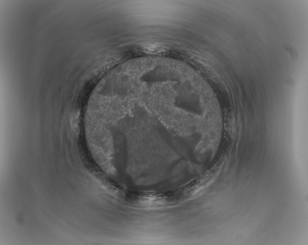 X0000111010319200907061000