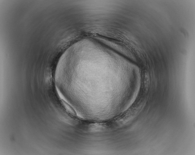 X0000111010320200907061000