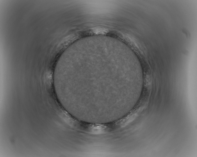 X0000111010321200907061000