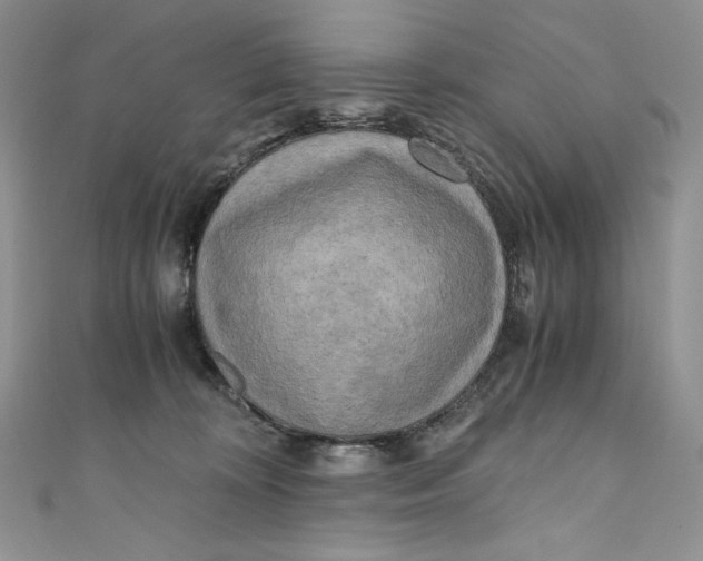 X0000111010324200907061000