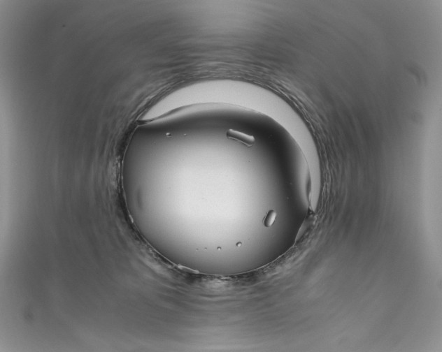 X0000111010325200907061000