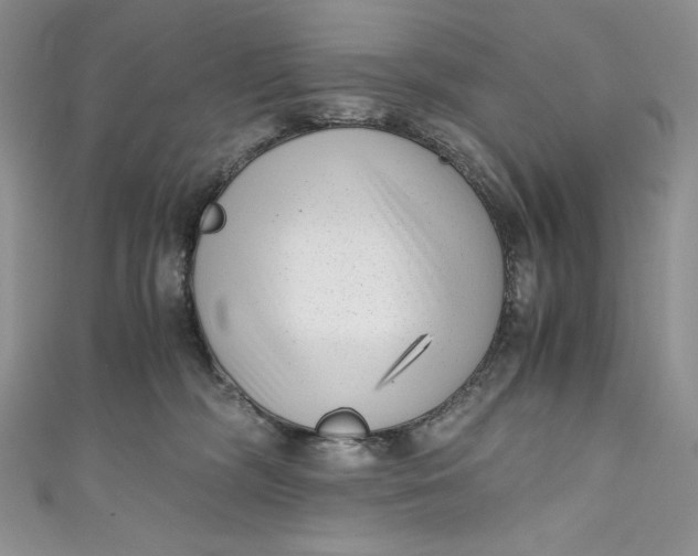 X0000111010326200907061000