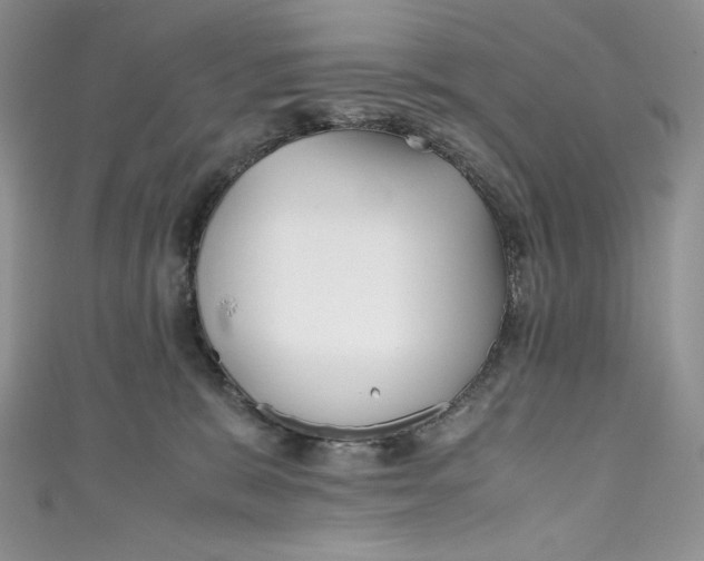 X0000111010327200907061000