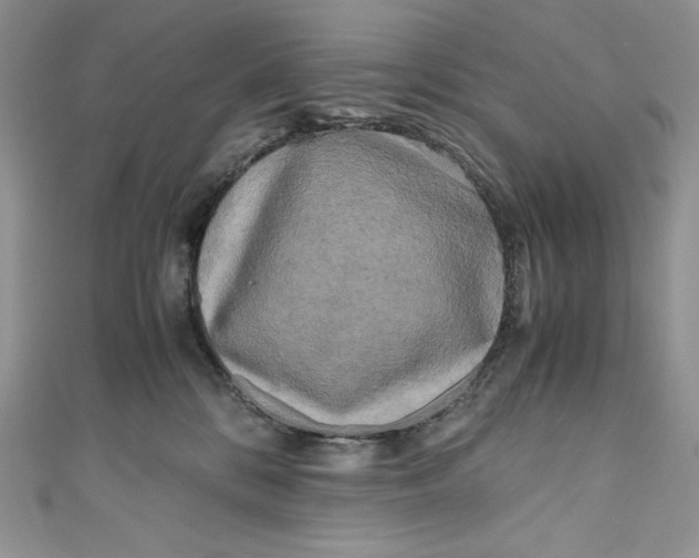 X0000111010328200907061000