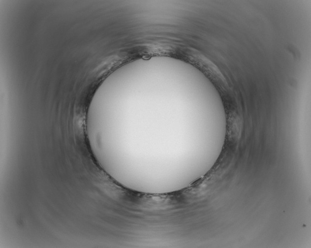 X0000111010329200907061000