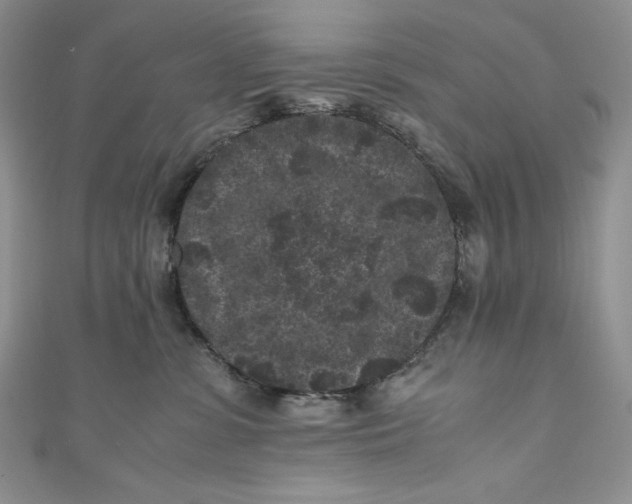 X0000111010331200907061000