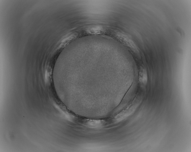 X0000111010332200907061000