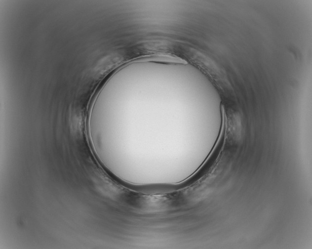 X0000111010333200907061000
