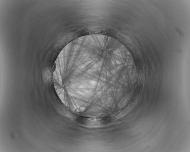X0000111010335200907061000