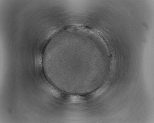 X0000111010336200907061000