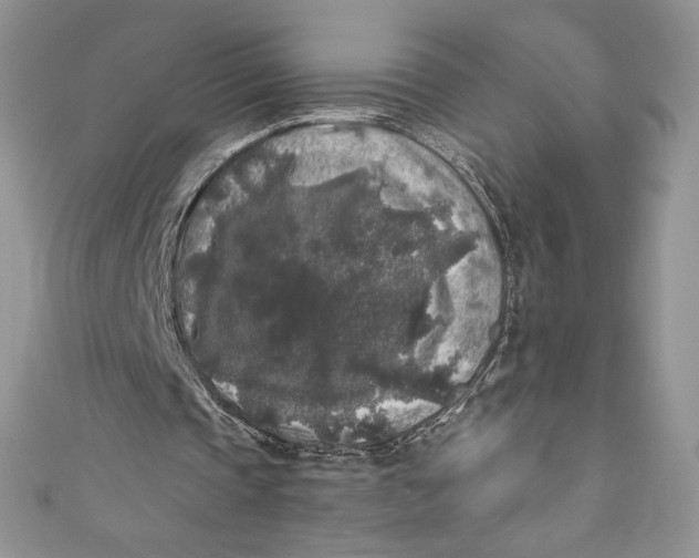 X0000111010337200907060959