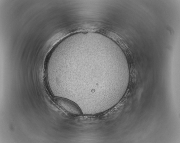 X0000111010338200907060959