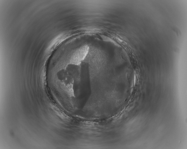 X0000111010339200907060959