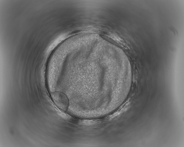 X0000111010341200907060959