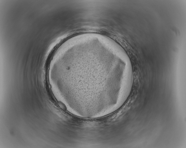 X0000111010342200907060959