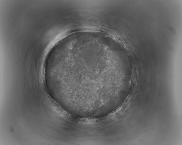 X0000111010343200907060959