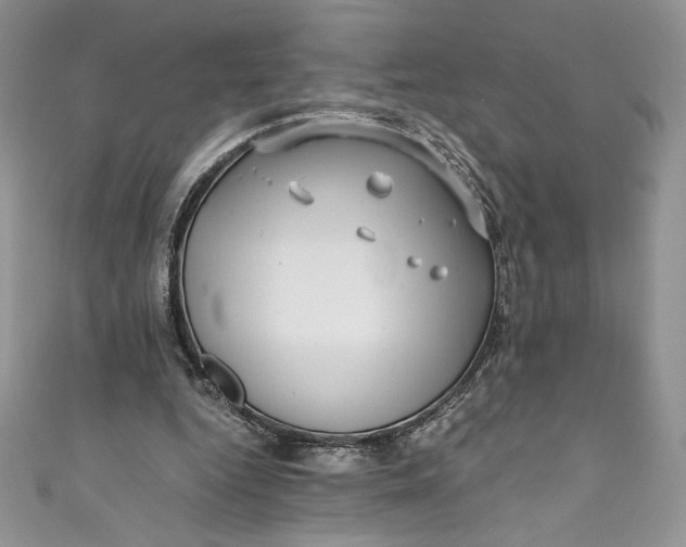 X0000111010344200907061000