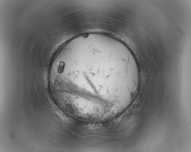 X0000111010345200907061000