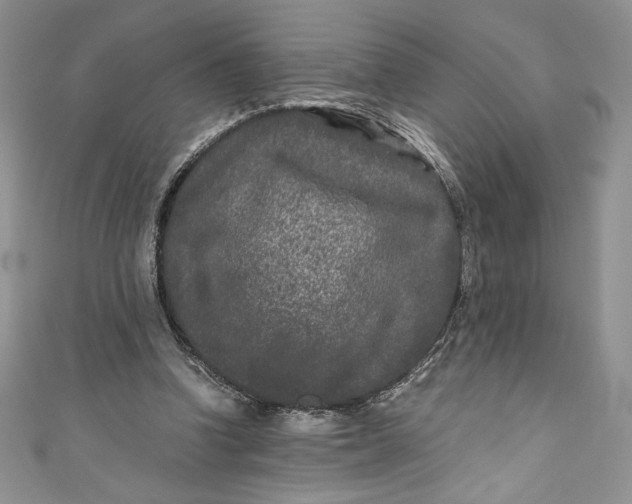 X0000111010346200907061000