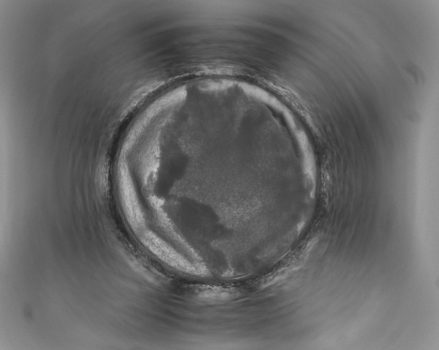 X0000111010347200907061000