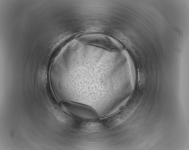X0000111010348200907061000