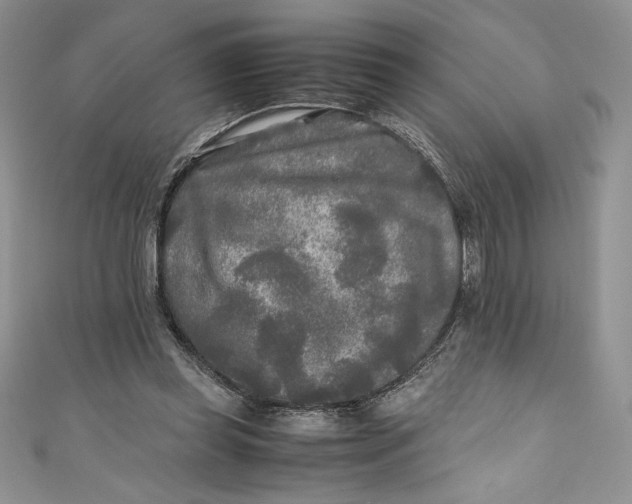 X0000111010349200907061000