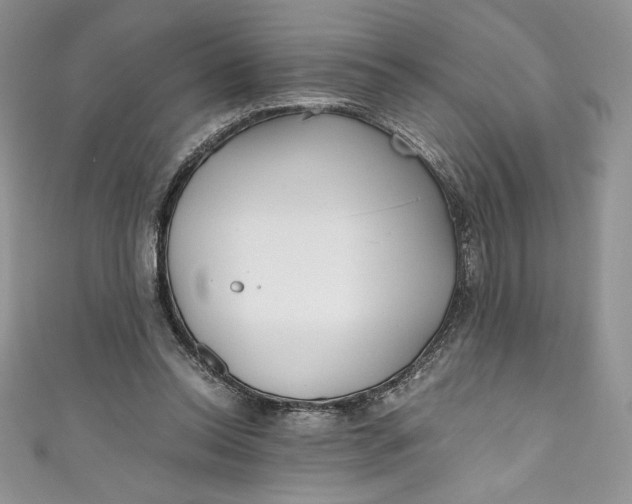 X0000111010350200907061000