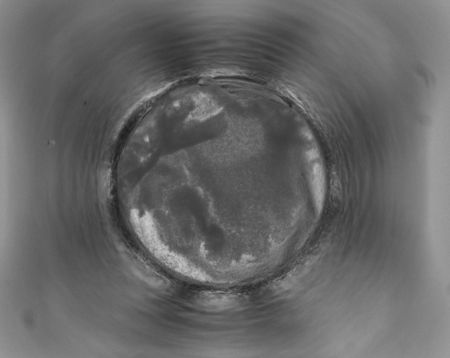X0000111010351200907061000