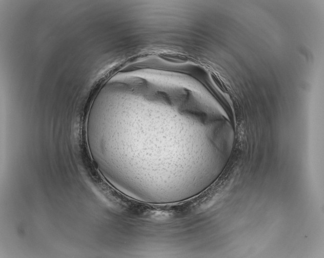 X0000111010352200907061000