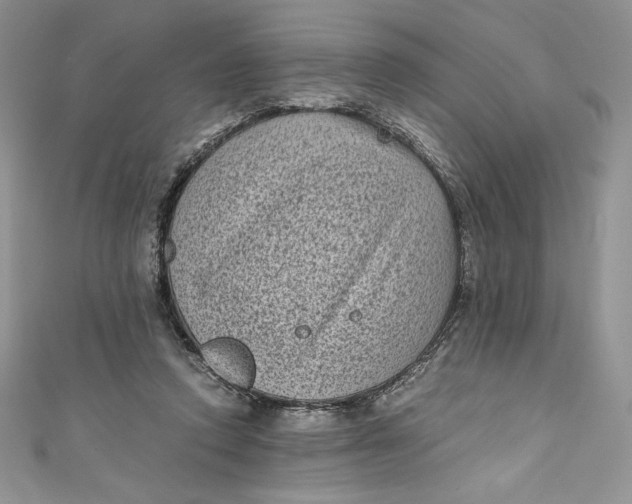 X0000111010354200907061000