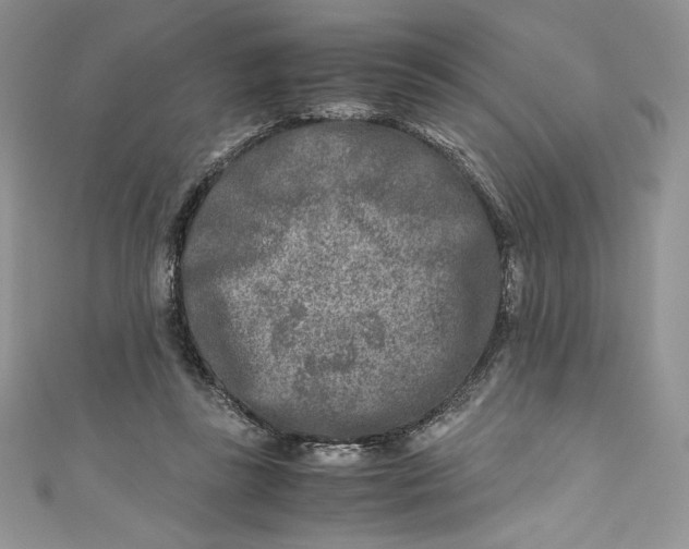 X0000111010355200907061000