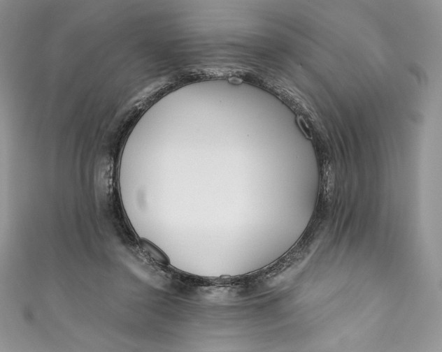 X0000111010356200907061000
