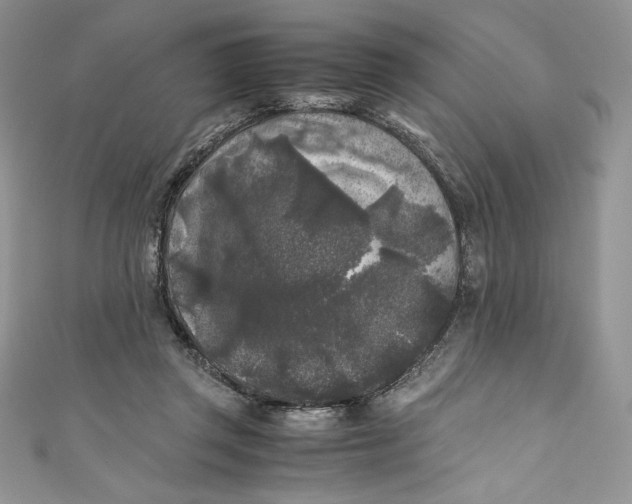 X0000111010357200907061000