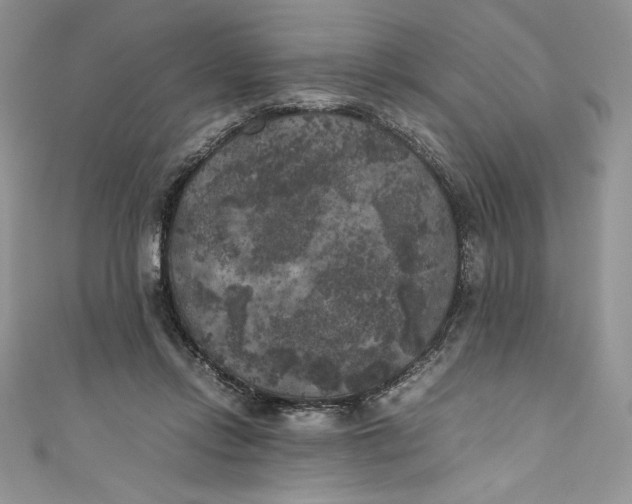 X0000111010358200907061000