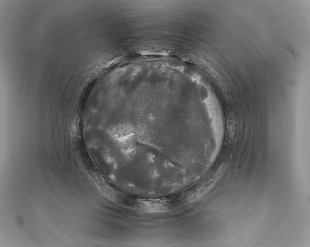 X0000111010359200907061000