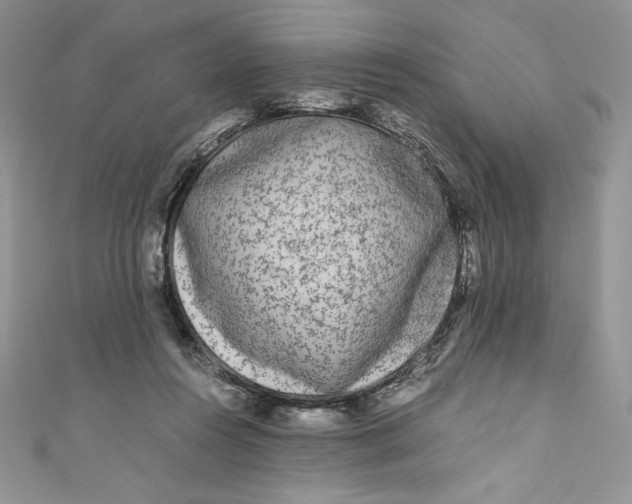 X0000111010360200907061000