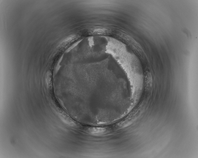 X0000111010361200907061000