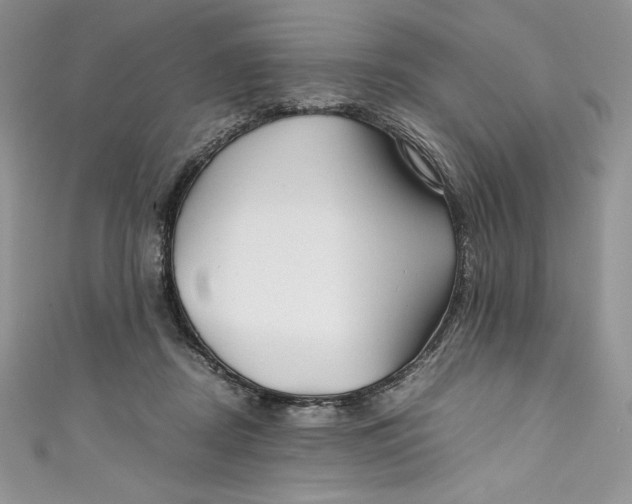 X0000111010362200907061000