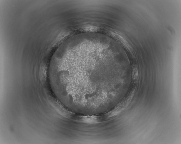 X0000111010363200907061000