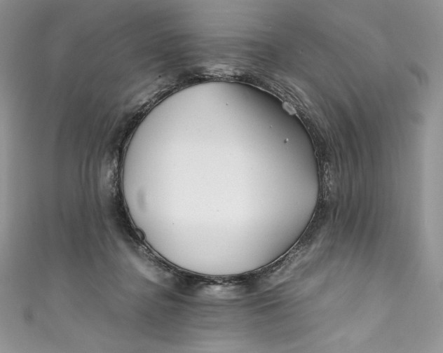 X0000111010364200907061000