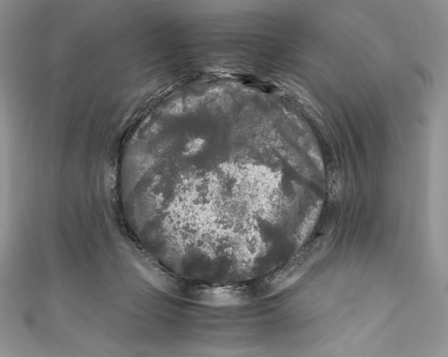 X0000111010365200907061000