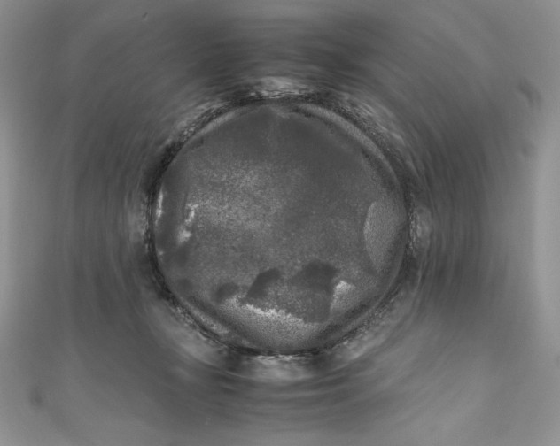 X0000111010367200907061000