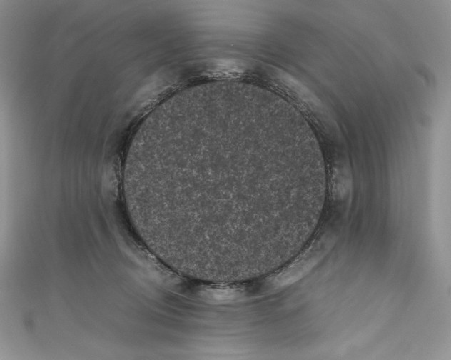 X0000111010370200907061000