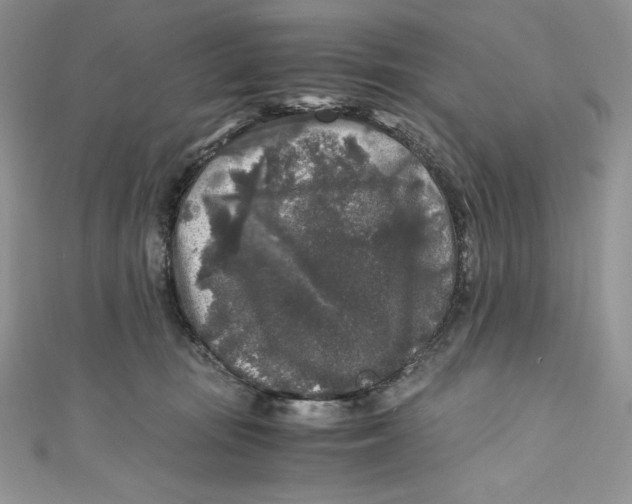 X0000111010371200907061000