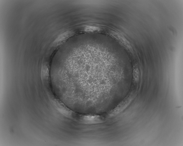 X0000111010375200907061000