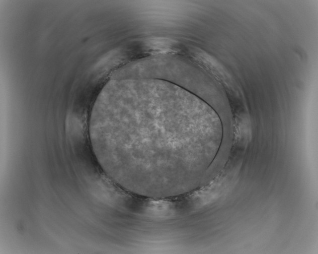 X0000111010376200907061000
