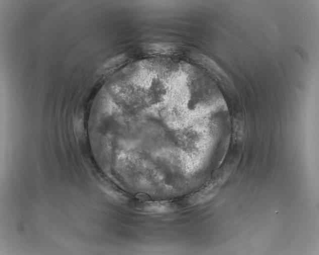 X0000111010377200907061000